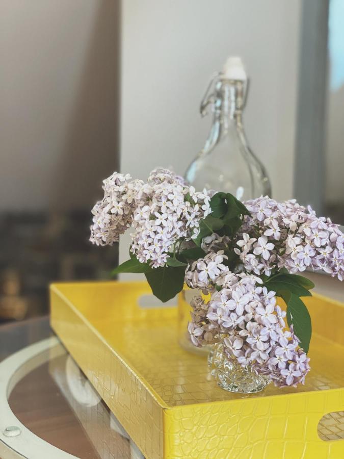 Domaine Steinbach Cidrerie B&B Distillerie St-Pierre-de-l'Île-d'Orléans エクステリア 写真
